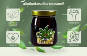 กัญชาดองน้ำผึ้ง