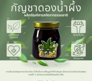 กัญชาดองน้ำผึ้ง
