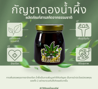 กัญชาดองน้ำผึ้ง
